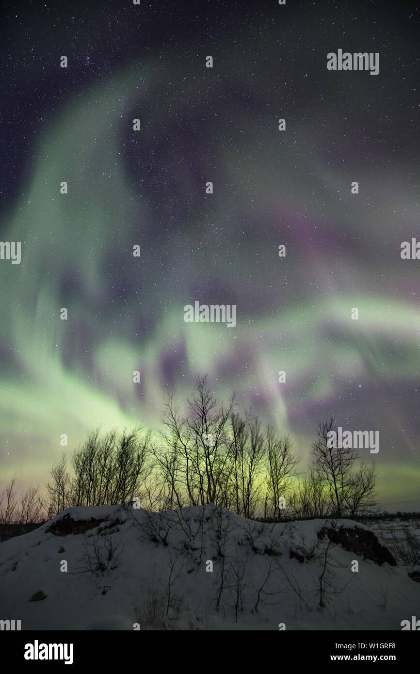 Aurora Borealis in Norwegen - Nordlichter. Erstaunliche grüne Farben am Himmel. Stockfoto