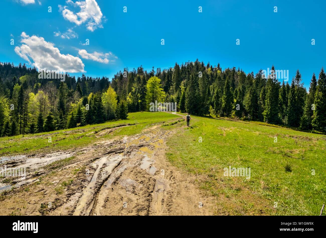 Schöner Frühling Berglandschaft. Grüne Wiesen und Wälder auf den Hügeln. Stockfoto