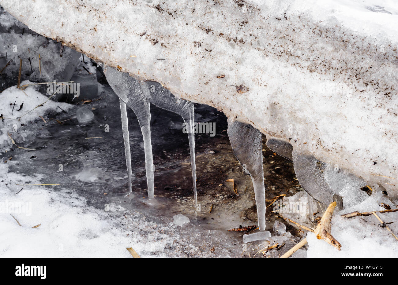 Detail von Eiszapfen schmilzt vom schmutzigen Scheiben von Eis und Schnee. Stockfoto