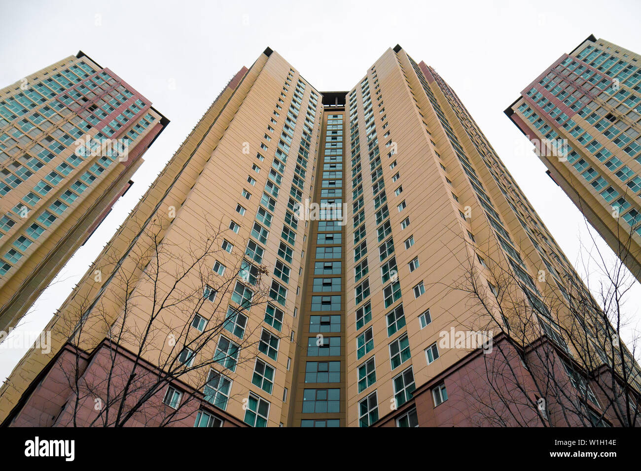 Drei mehrstöckige Häuser, Ansicht von unten. multi - Familie Gehäuse in der Metropole. Stockfoto