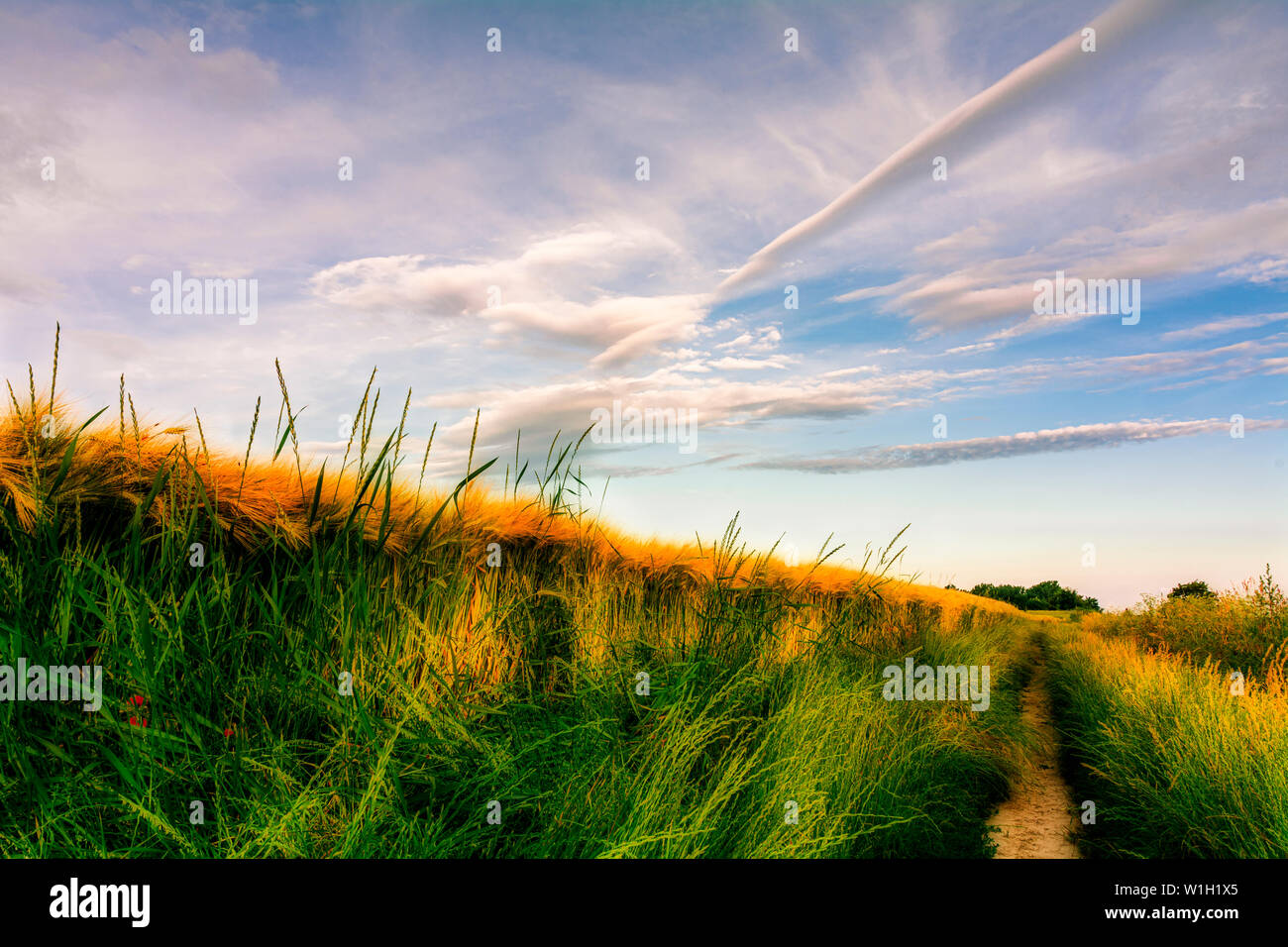 Landwirtschaftliche Landschaft Stockfoto