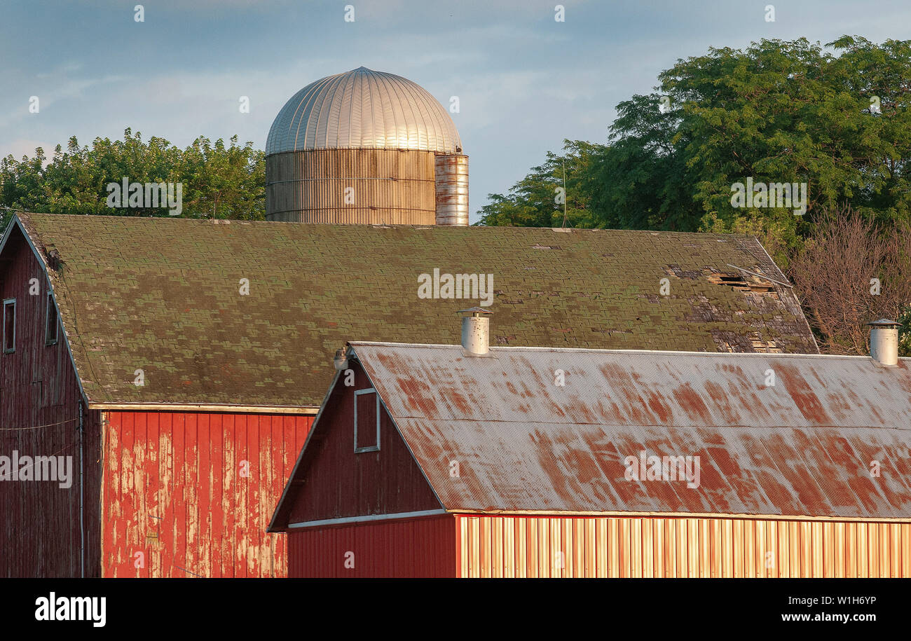 Ein Silo zeichnet sich inmitten von zwei parallelen Stalldach Linien in ländlichen Dane County östlich von Madison, Wisconsin. # BackroadsAmericana (c) 2018 Tom Kelly Stockfoto