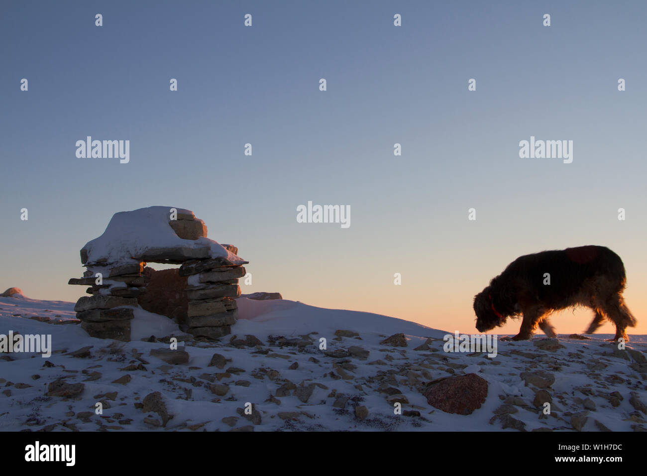Inuksuk oder Inukshuk Inuit Wahrzeichen mit einem Hund auf der Seite bei Sonnenaufgang auf einem Hügel in der Nähe der Gemeinde Cambridge Bay, Nunavut, Kanada gefunden Stockfoto