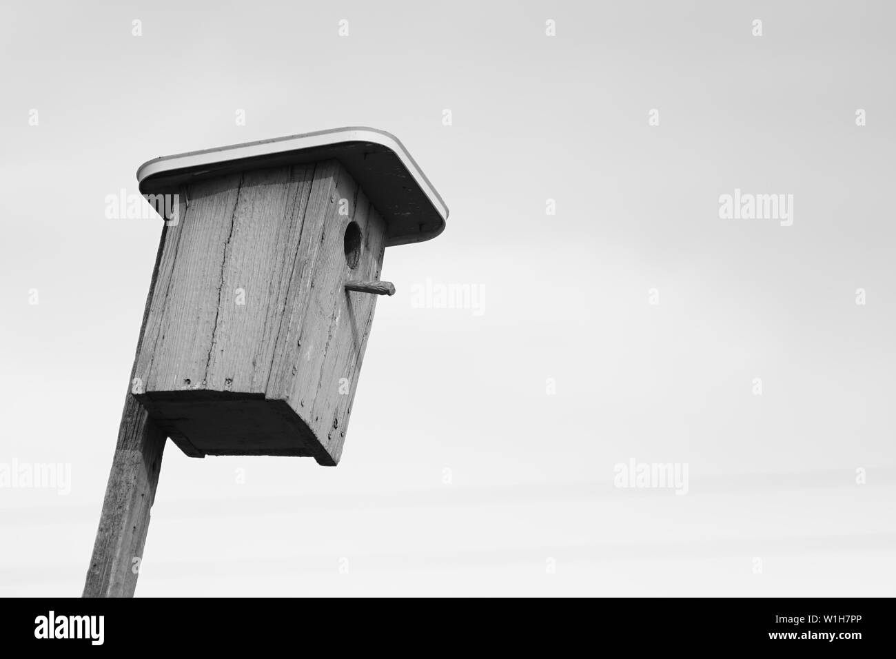 Hellblau Holz- selbstgemachte Vogelhäuschen am Himmel Hintergrund Stockfoto