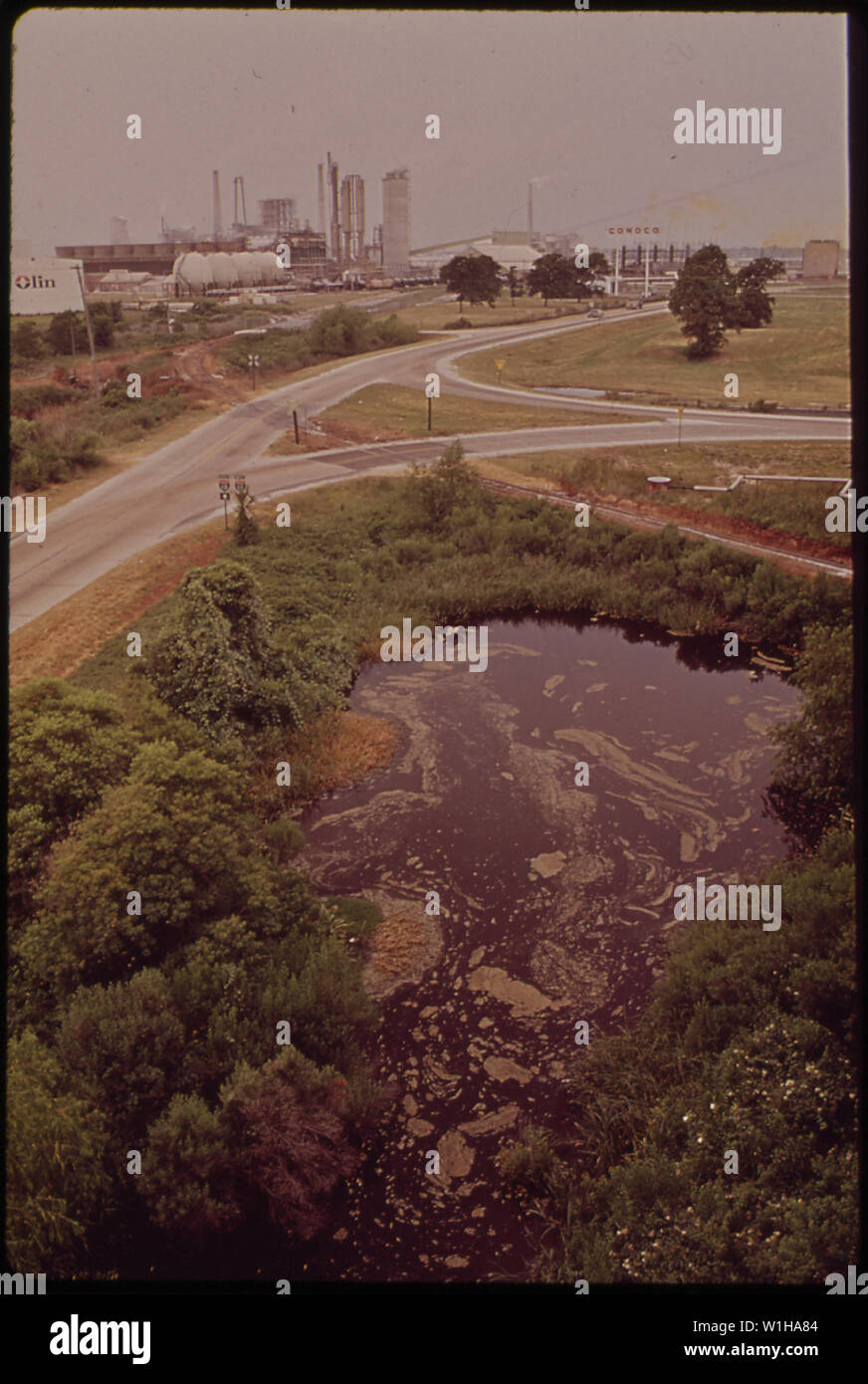 Ölleckage im Teich (Vordergrund), OLIN-MATHIESON PFLANZE IM HINTERGRUND Stockfoto