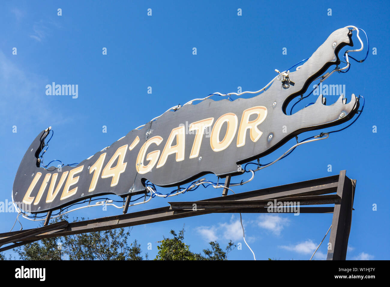 Florida Highlands County, Sebring, US Highway Route 27, Watering Hole, Bar Lounge Pub, Drink Drinks Drinking Spot, Neonschild am Straßenrand, Live-Alligator, Bully, A Stockfoto