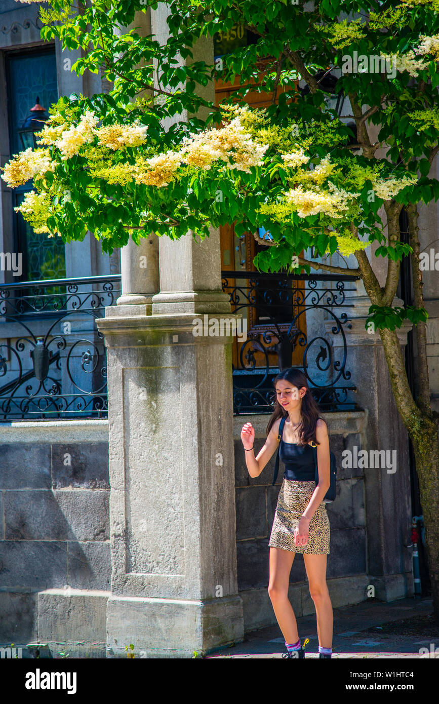 Mädchen unter dem Baum, Blumen Stockfoto