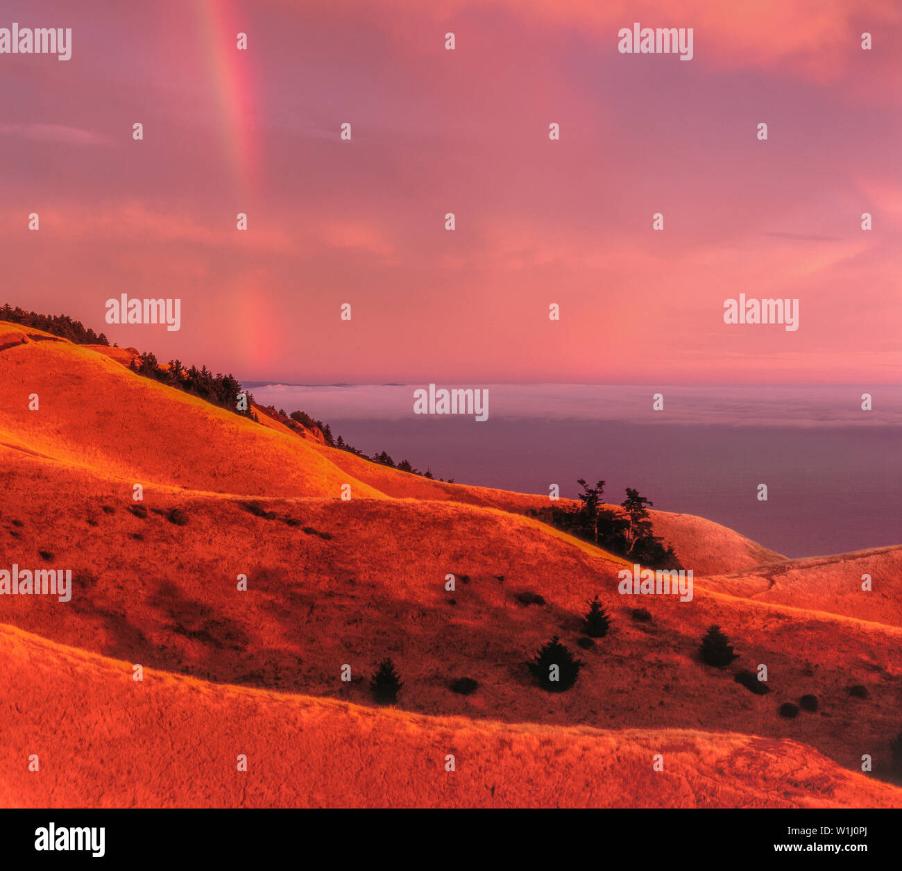 Regenbogen, Bolinas Ridge, Mount Tamalpais State Park, Golden Gate National Recreation Area, Marin County, Kalifornien Stockfoto