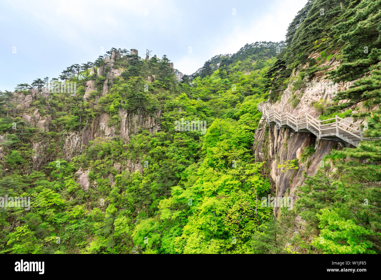 Landschaft des Huangshan (gelbes Gebirge). zum Weltkulturerbe der UNESCO. in Huangshan, Anhui, China. Stockfoto