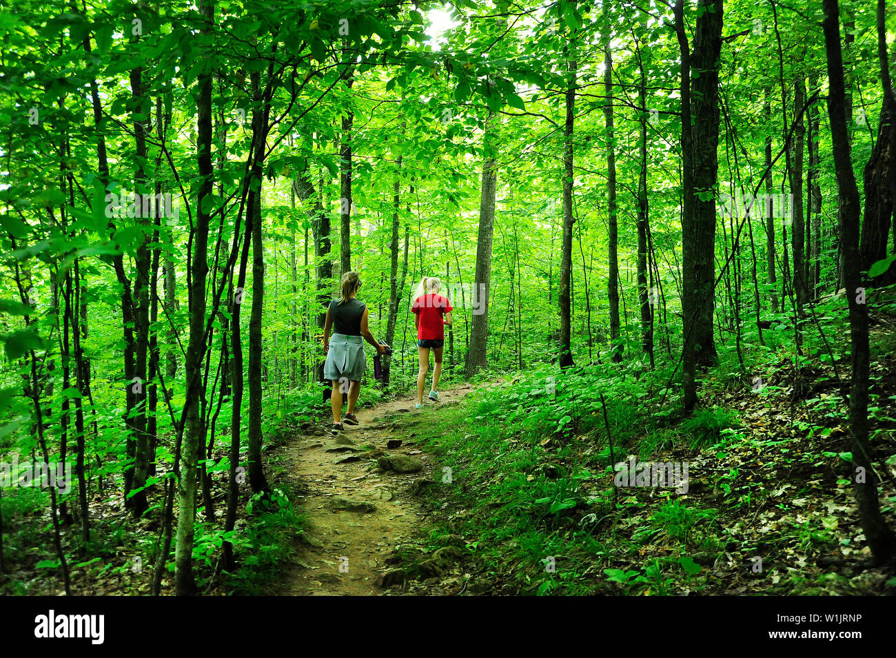 Meghan und Madeline Wanderung zu den Petersdom in der Chequamegon-Nicolet National Forest. (C) 2013 Tom Kelly Stockfoto
