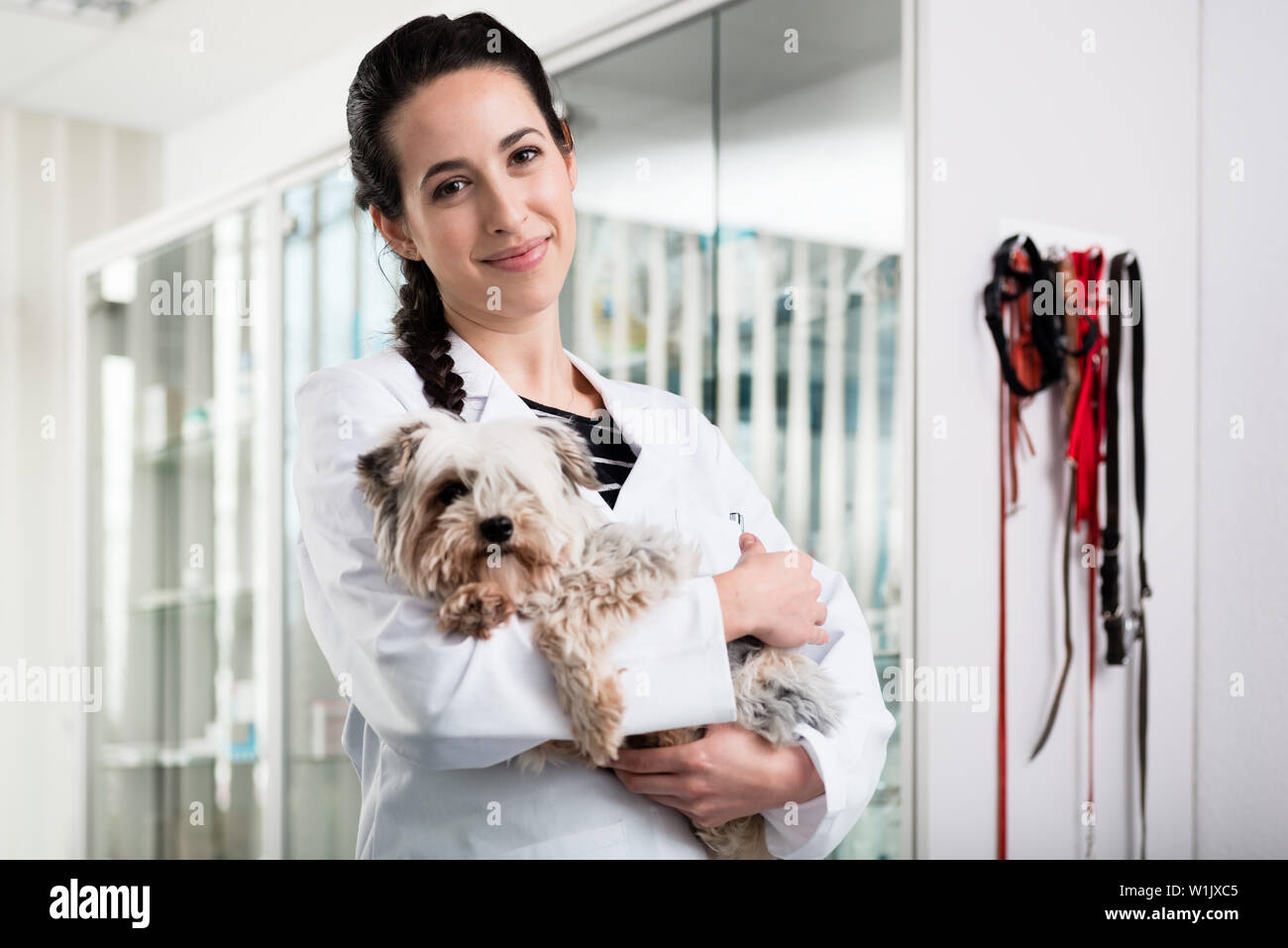 Happy Tierarzt die kranken Welpen Stockfoto
