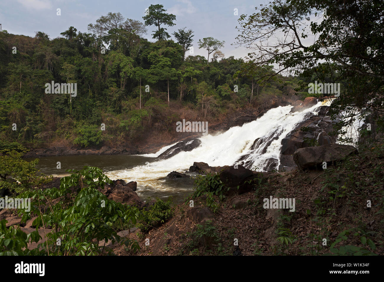 Bumbuna Falls auf Stromschnellen des Flusses Rokel in der Nähe des Bumbuna Dorfes in Busch inmitten üppiger Vegetation von Regenwald, Sierra Leone Stockfoto