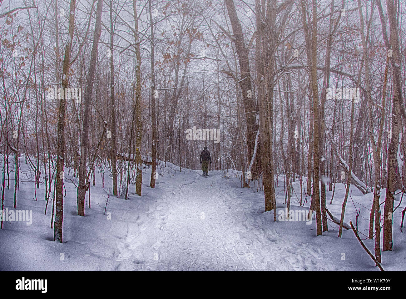 Hatten einen tollen Familienurlaub in Deerhurst Resort Im Muskoka Region von Ontario. Schneeschuhe, wandern im Winter Trail viel einfacher. Stockfoto