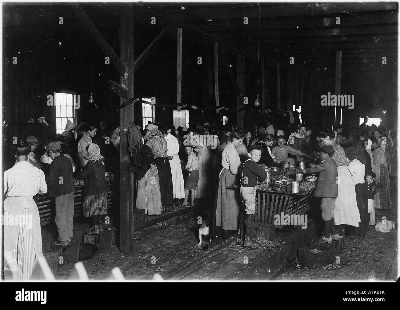 Ansicht des Gorenflo Canning Co.Um 7 Uhr; Umfang und Inhalt: Blick auf die Gorenflo Canning Co.Um 7 Uhr viele kleine Arbeiter hier, von denen einige begann in der Fabrik so früh wie 5 oclock berücksichtigt, eine Stunde, bevor Sie zur Arbeit und lange vor Tageslicht auf einer feuchten, nebligen Tag. Die Trillerpfeife geblasen hatte, und sie kamen um lediglich ihren Plätzen zu halten. Wenn der Fang gut gewesen, beginnen Sie die Arbeit früh, aber heute war es nicht so gut, so dass Sie warten auf Tageslicht waren. In dieser Gruppe habe ich festgestellt im Alter von ein paar, wie folgt, ein Kind von sechs Jahren, eine von 7, 2 von 8, Stockfoto