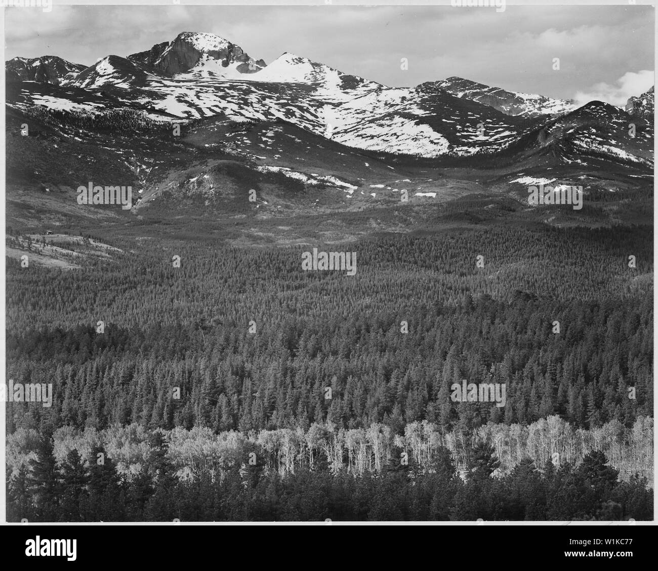 Blick auf die Bäume und die schneebedeckten Berge, Long's Peak von der Straße, Rocky Mountain National Park, Colorado, 1933 - 1942 Stockfoto