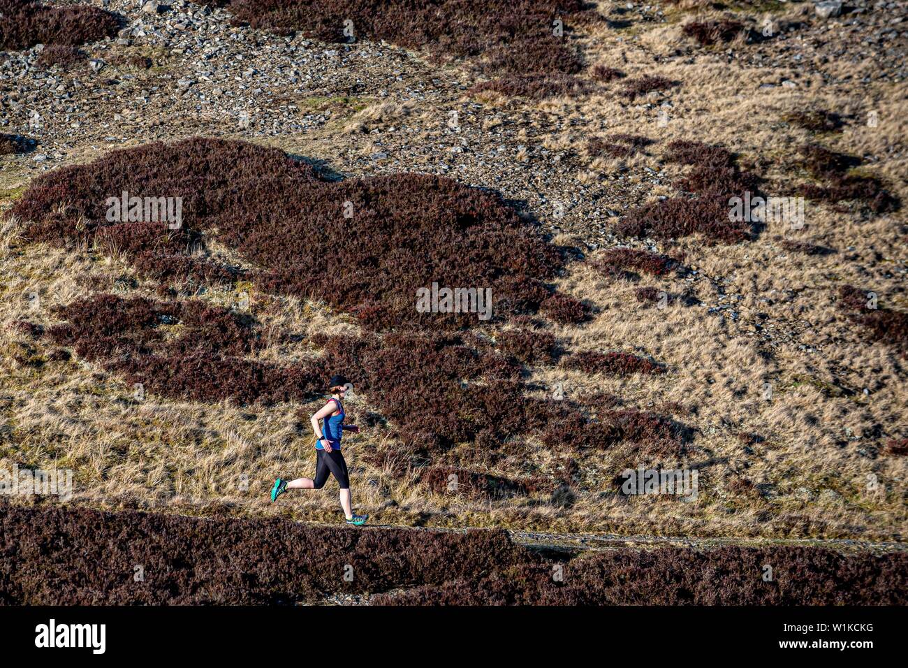 Weibliche fiel Runner auf die Mauren über Swaledale, North Yorkshire Stockfoto