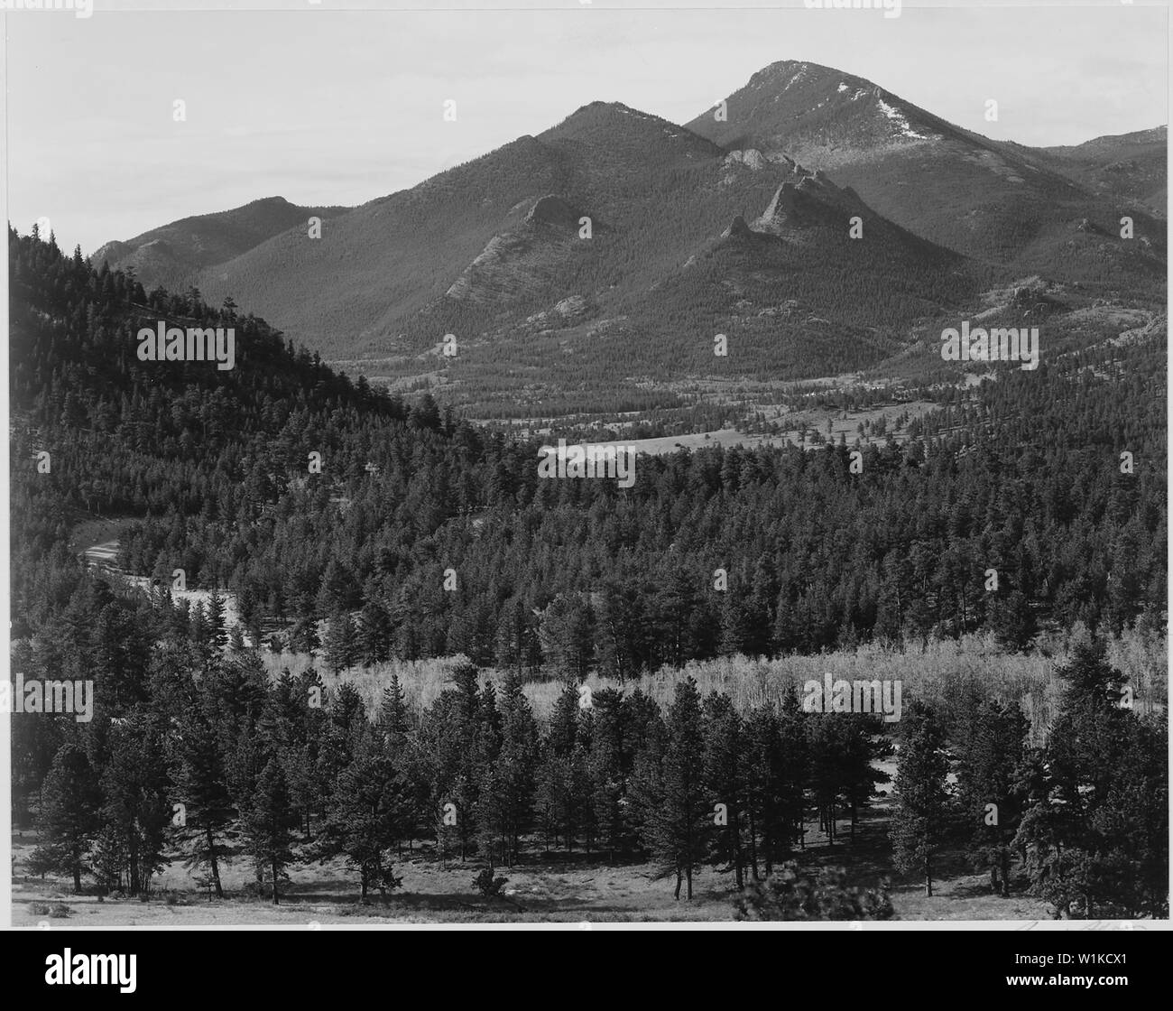 Ansicht mit Bäumen im Vordergrund, kargen Berge im Hintergrund, im Rocky Mountain National Park, Colorado, 1933 - 1942 Stockfoto