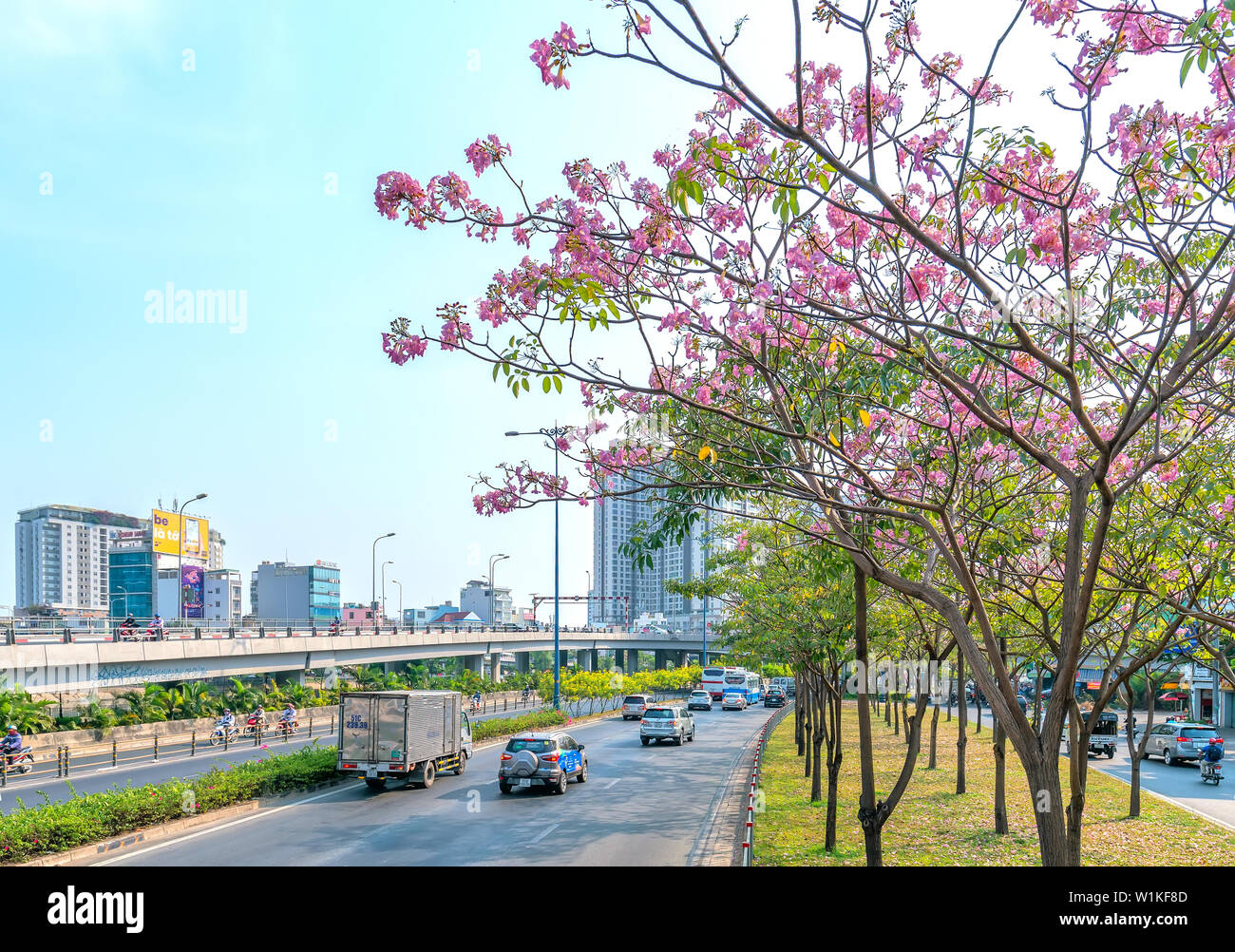 Der Verkehr in Saigon Straße mit dem Auto bewegen unter Rosa tabebuia Judy Blume Baum des entwickelte Stadt in Ho Chi Minh City, Vietnam Stockfoto