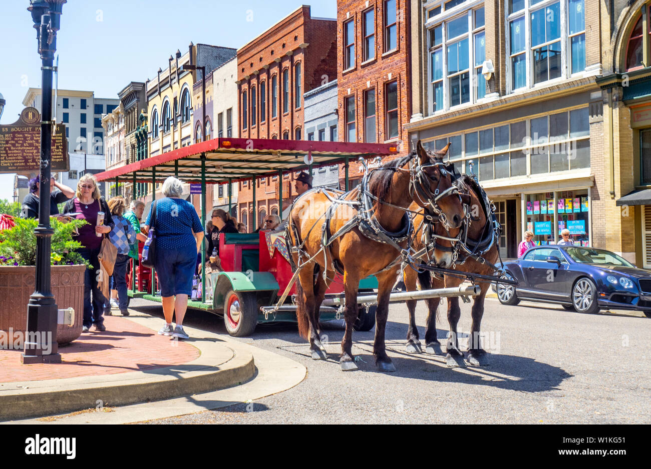 Quilters erhalten eine Fahrt auf eine von Pferden gezogene Wagen während der Quilt Woche 2019 Paducah Kentucky USA. Stockfoto