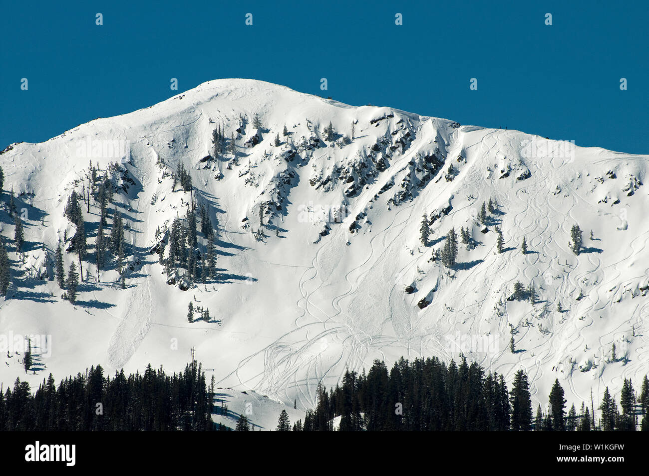 Utah powder Ski Stockfoto