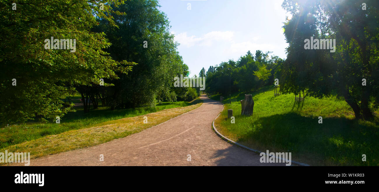 Breite Spur im Park, Morgen, Frühling, Kladno, Tschechische Republik Stockfoto