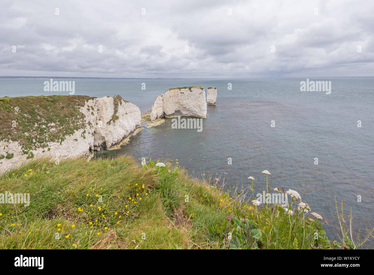Old Harry Rocks an Handfast Point, Isle of Purbeck, Jurassic Coast, einem UNESCO-Weltkulturerbe in Dorset, England, Großbritannien Stockfoto