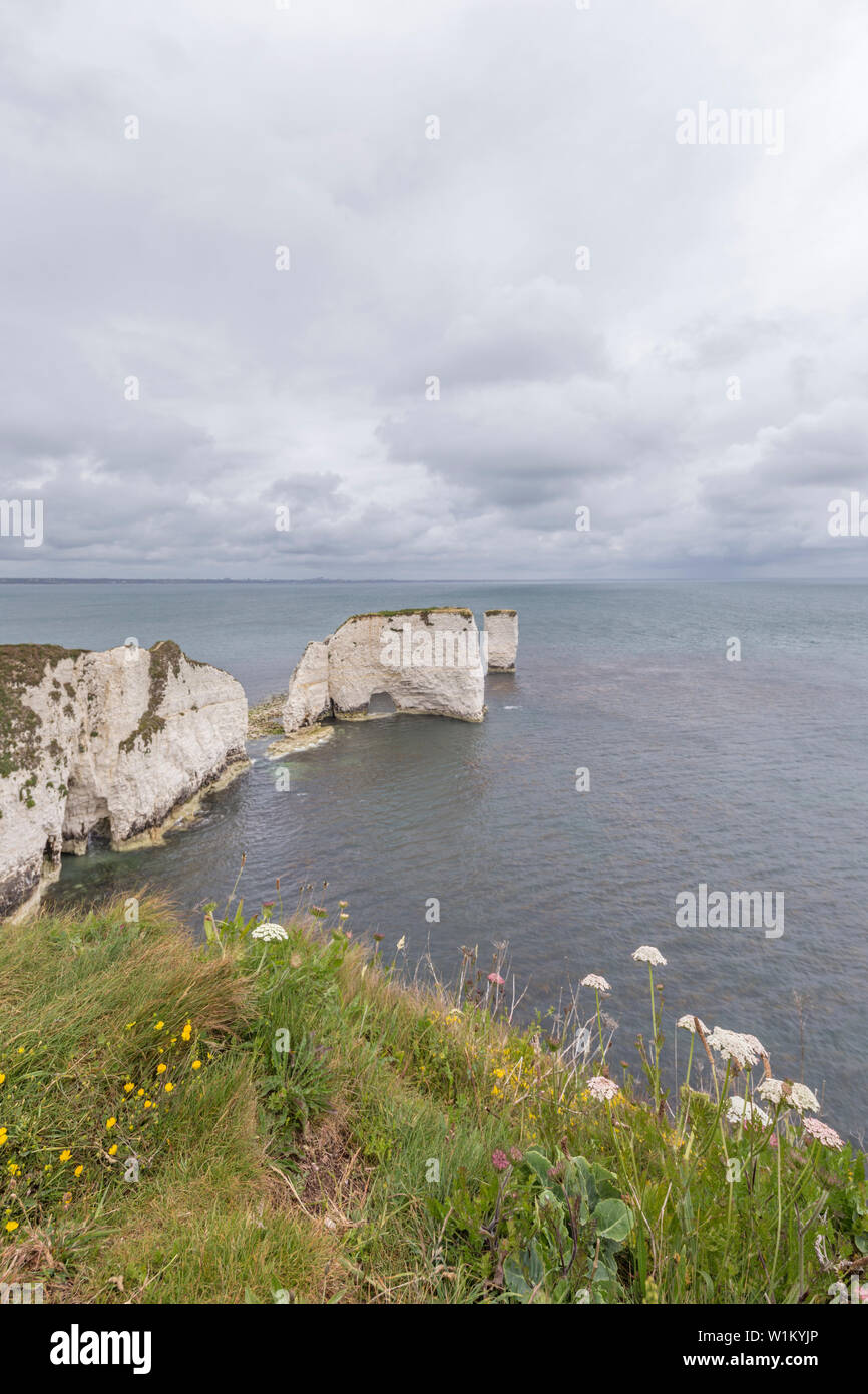 Old Harry Rocks an Handfast Point, Isle of Purbeck, Jurassic Coast, einem UNESCO-Weltkulturerbe in Dorset, England, Großbritannien Stockfoto