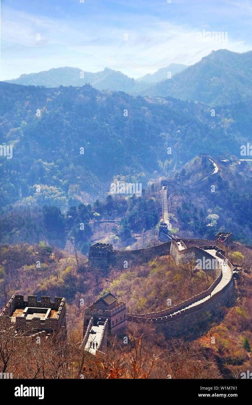 Vertikale Panoramablick auf die Mutianyu Abschnitt der Großen Mauer von China, Stretching über eine Landschaft von grünen und gelben Vegetation unter kaltem Stockfoto
