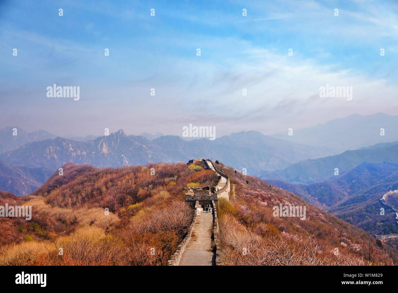 Panoramablick auf die Mutianyu Abschnitt der Großen Mauer von China, der sich über Berge, durch grüne und gelbe Vegetation unter kaltem m umgeben Stockfoto