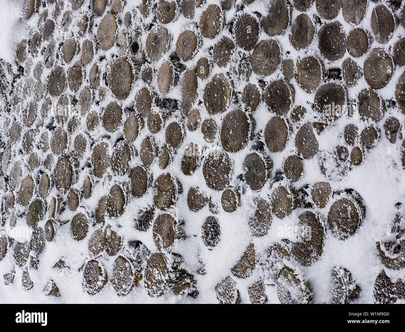Snowy Brennholz stack, Mittlerer Schwarzwald, Baden-Württemberg, Deutschland Stockfoto