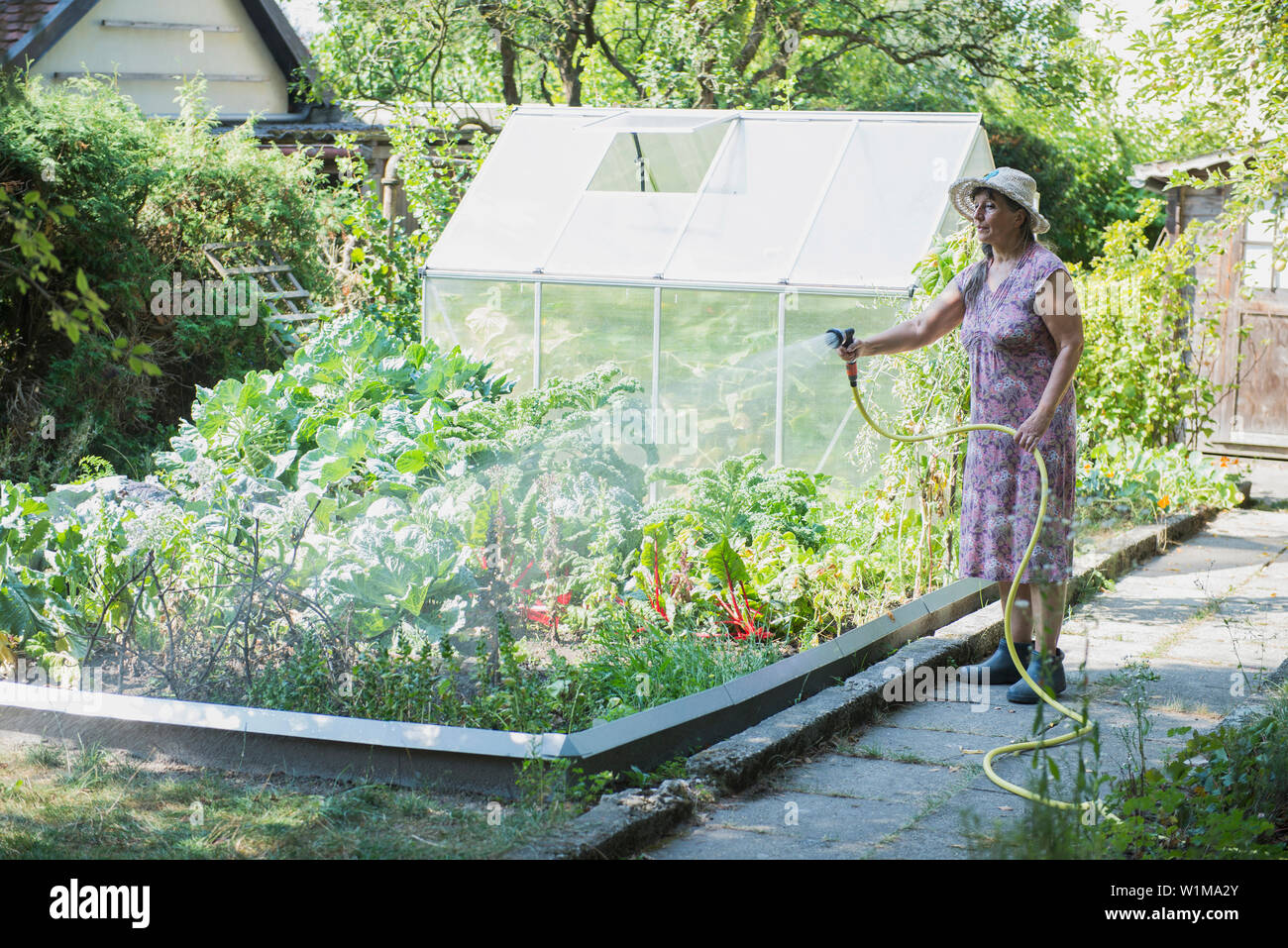 Ältere Frau, Bewässerung von Pflanzen im Garten, Altötting, Bayern, Deutschland Stockfoto