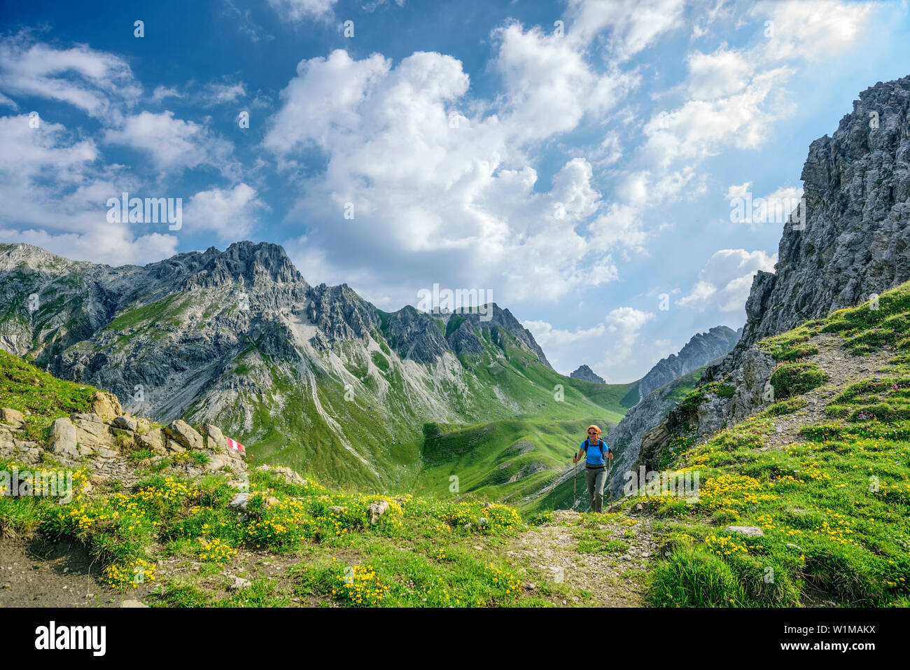 Frau wandern mit Landschaftseck und Landschaftsspitze in Backgr, Lechtaler Alpen, Tirol, Österreich Stockfoto