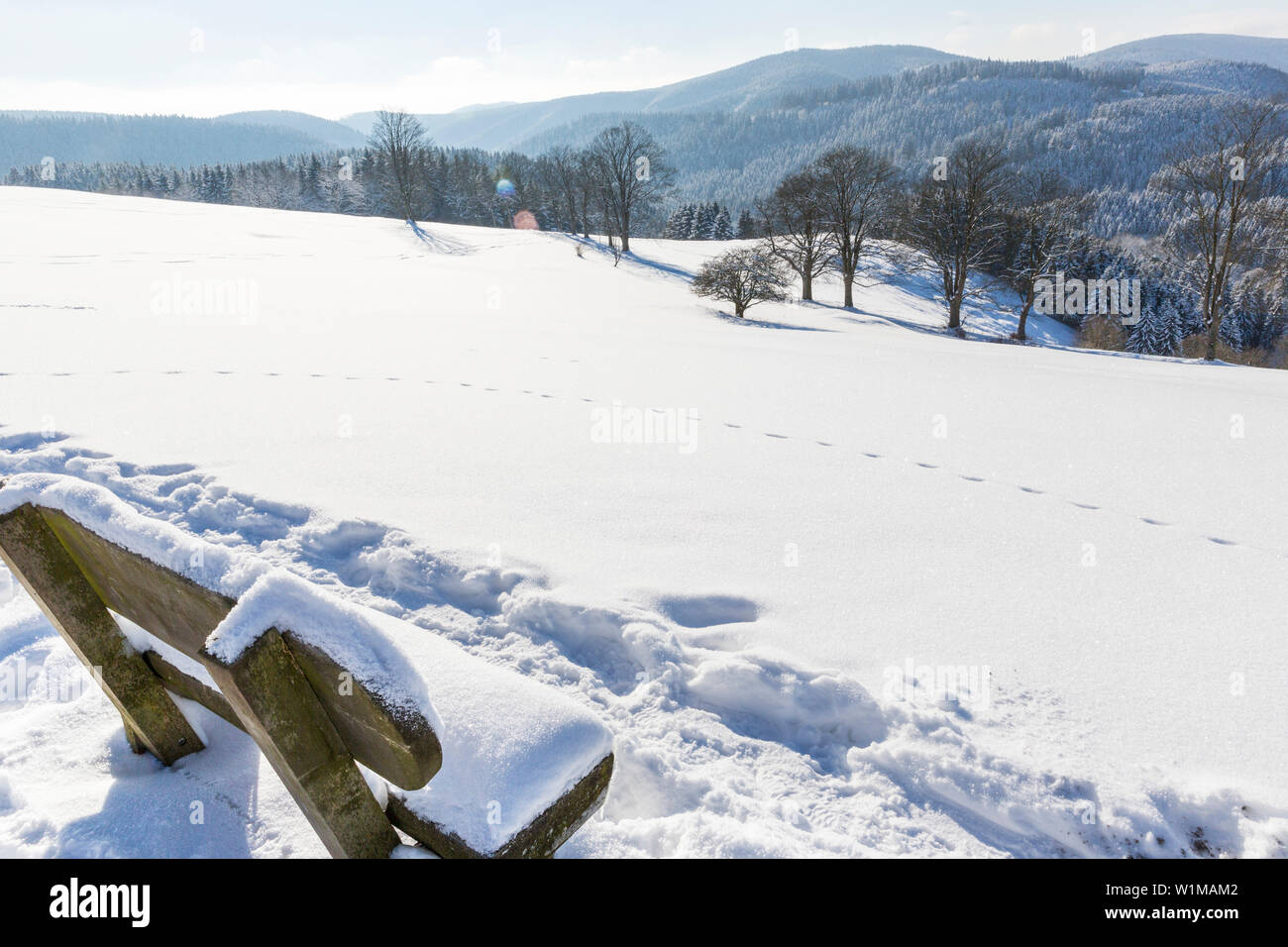 Winterlandschaft mit Holzbank, Spuren im Schnee, Neuschnee, Harz, Sankt Andreasberg, Niedersachsen, Deutschland Stockfoto