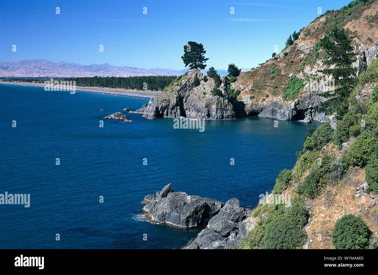 Marlborough - Südinsel Neuseeland Stockfoto