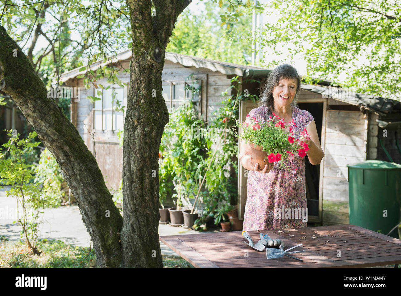 Ältere Frau umtopfen Blumen, Altötting, Bayern, Deutschland Stockfoto
