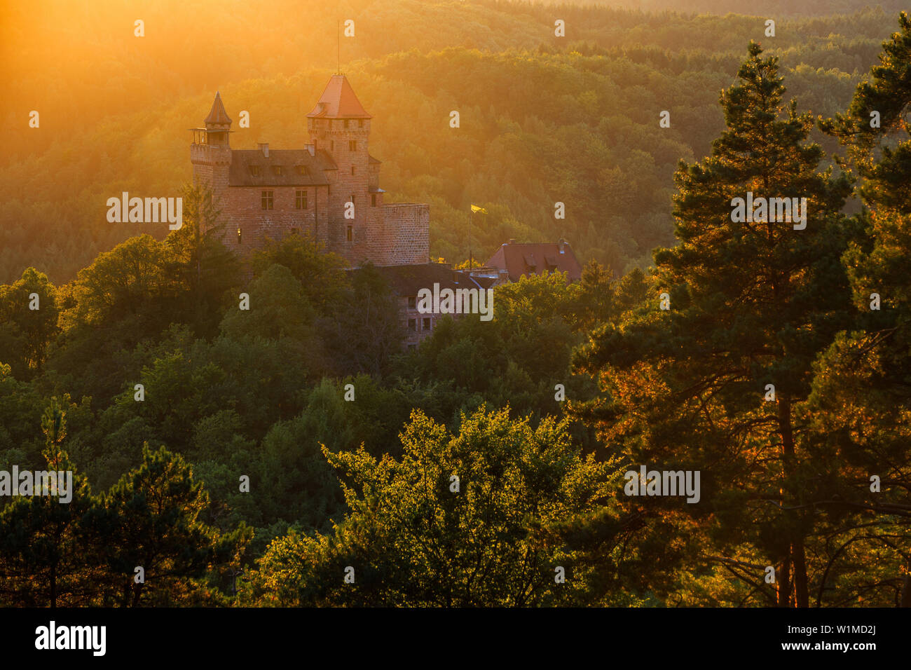 Die Sonne beleuchtet Burg Berwartstein bei Erlenbach in der Nähe von Dahn, Pfälzer Wald, Rheinland-Pfalz, Deutschland Stockfoto