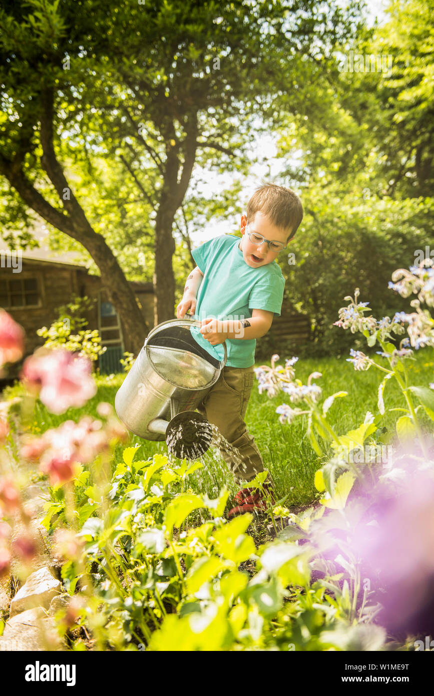 Little boy Bewässerung von Pflanzen im Garten Stockfoto