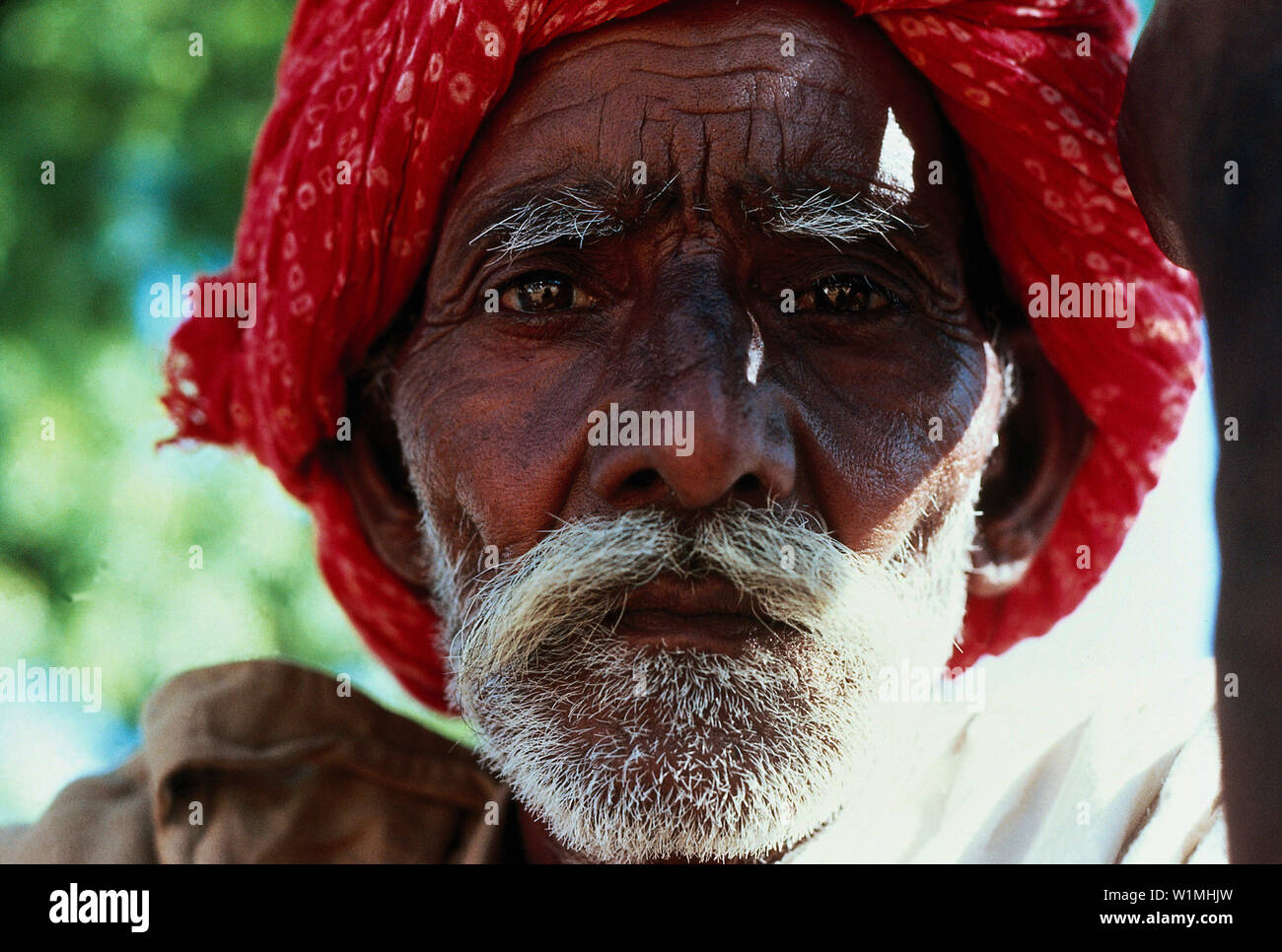 Alter Mann Mit Turban, Indien Stockfoto