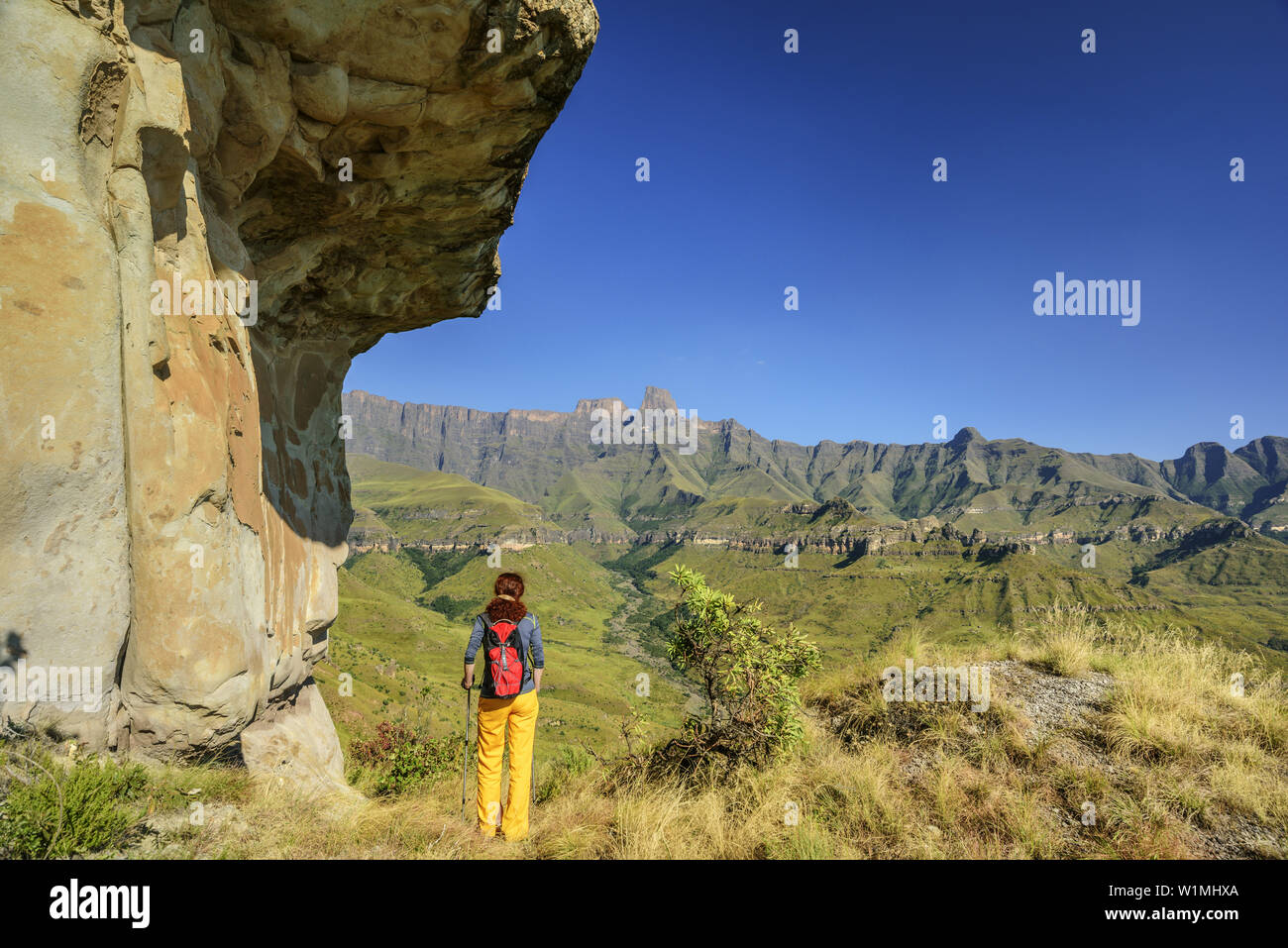 Frau wandern in Richtung Amphitheater mit Sentinel, Tugela Tal, Amphitheater, Royal Natal Drakensberge, u Khahlamba-Drakensberg Park, der UNESCO nicht Stockfoto