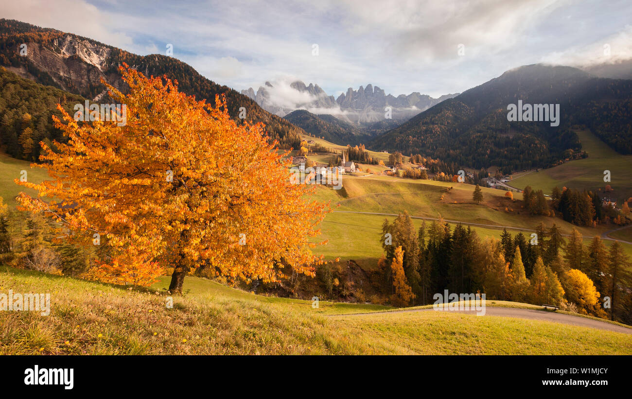 Blick über das Val di Funes Tal im Herbst mit der Kirche von St. Magdalena und die Geisler Gruppe, Alpen, Südtirol, Dolomiten, Südtirol, Italien, E Stockfoto