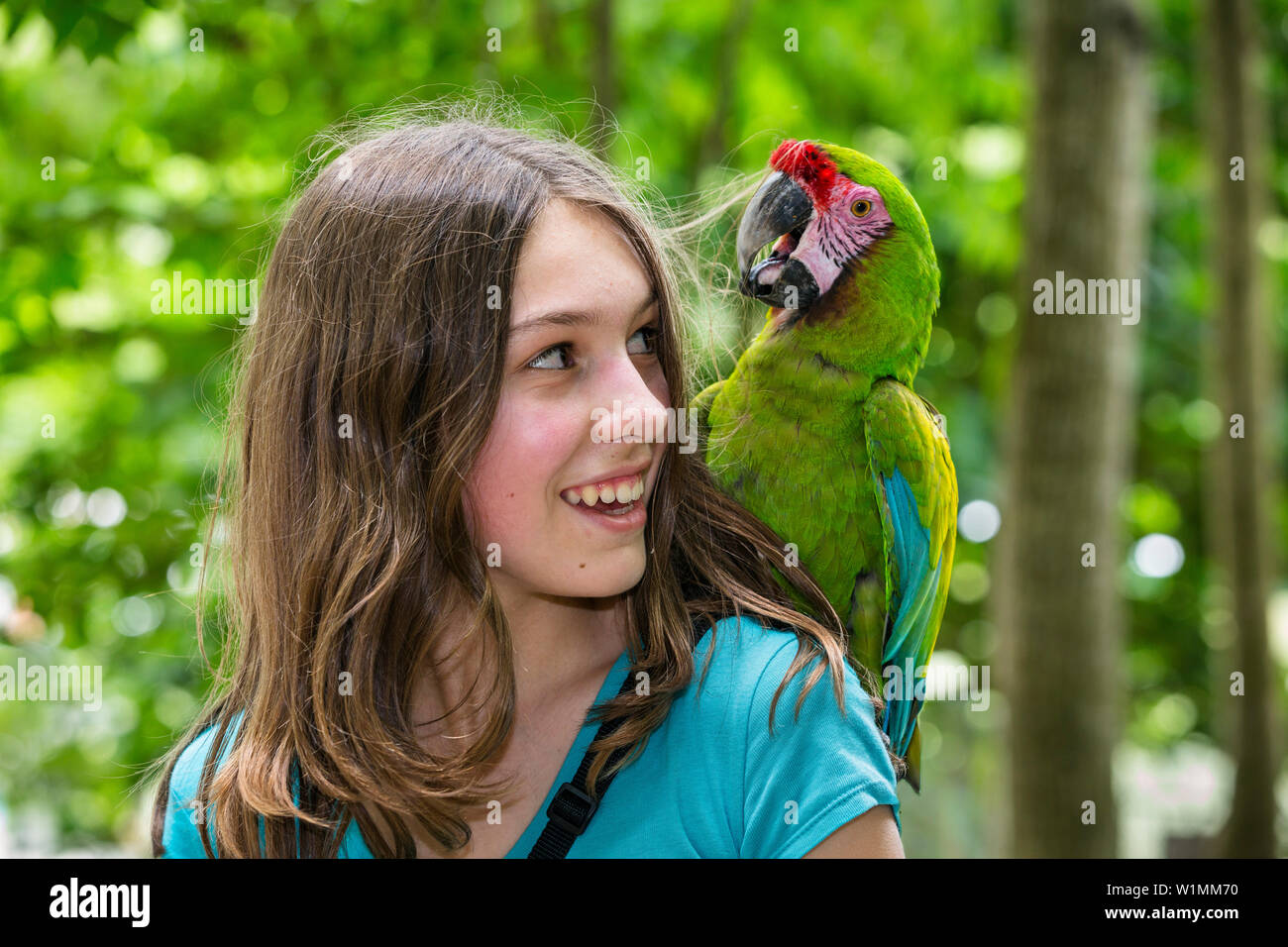 13 Jahre alt deutsches Mädchen mit Papagei auf der Schulter, Military Macaw, Ara militaris, Trinidad, West Indies Stockfoto