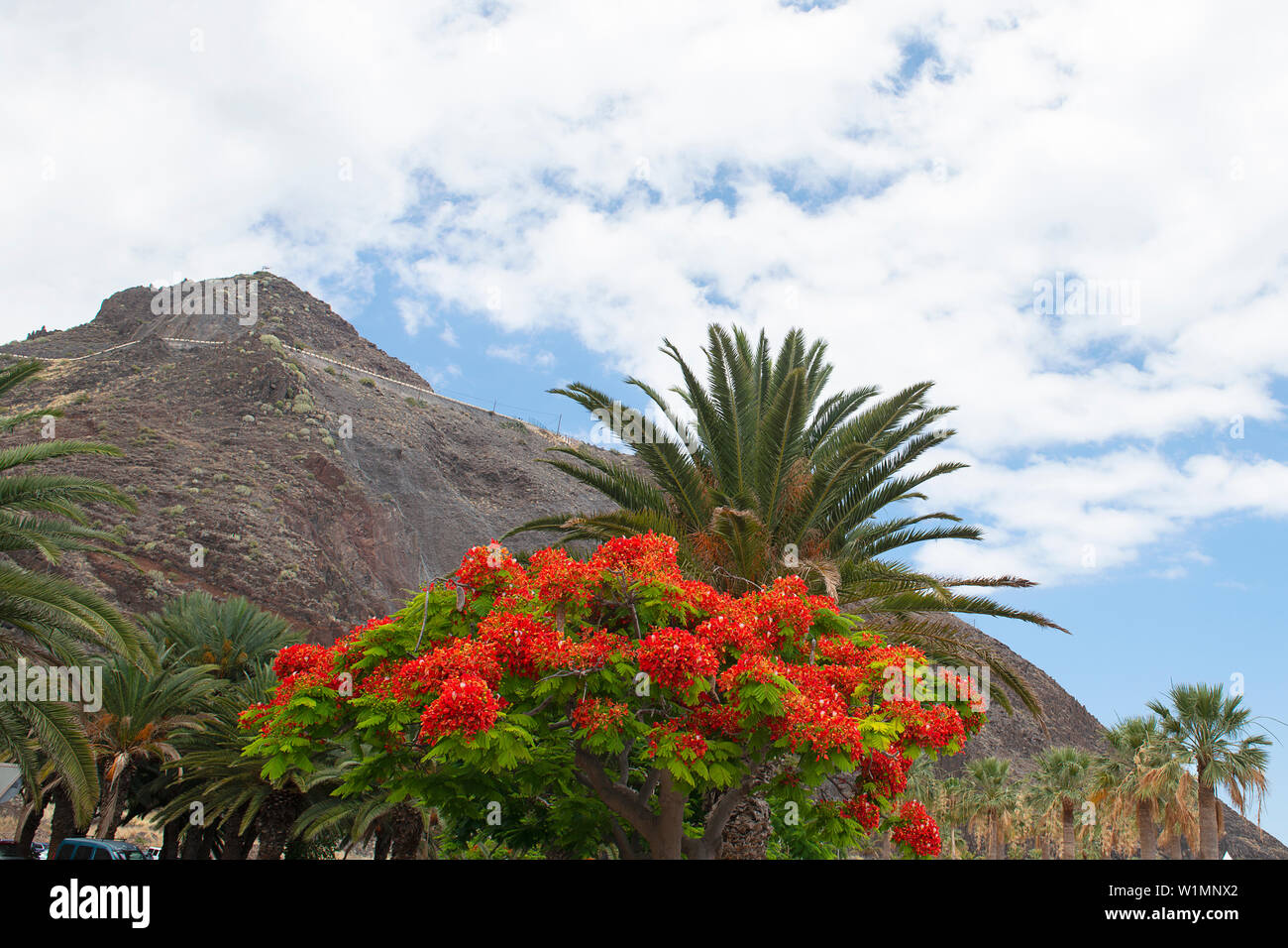 Teresitas Strand, in der Nähe von Santa Cruz auf Teneriffa, Kanarische Inseln, Spanien. Stockfoto