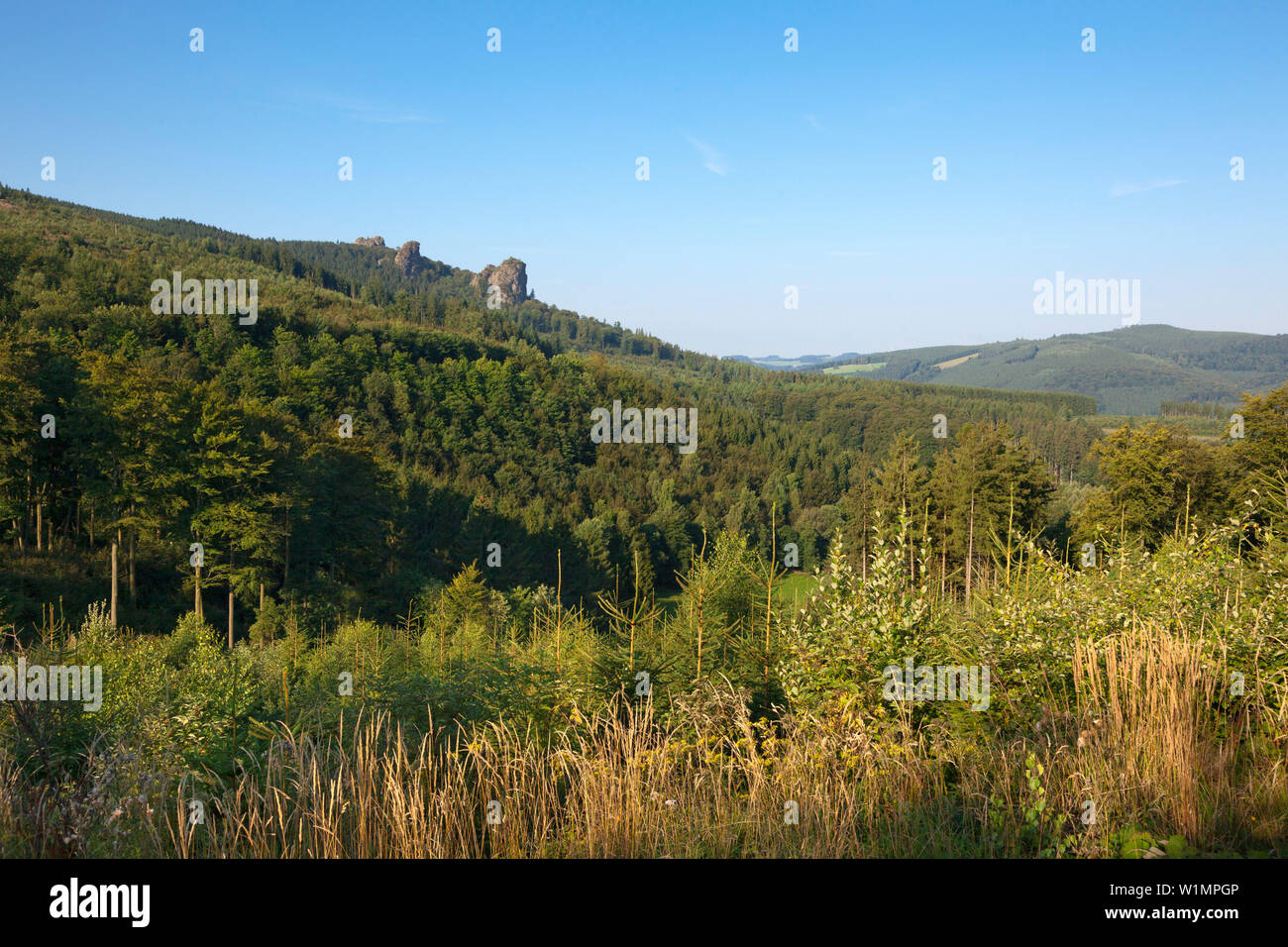 Felsformation Bruchhauser Steine, Rothaarsteig, Rothaargebirge, Sauerland, Nordrhein-Westfalen, Deutschland Stockfoto