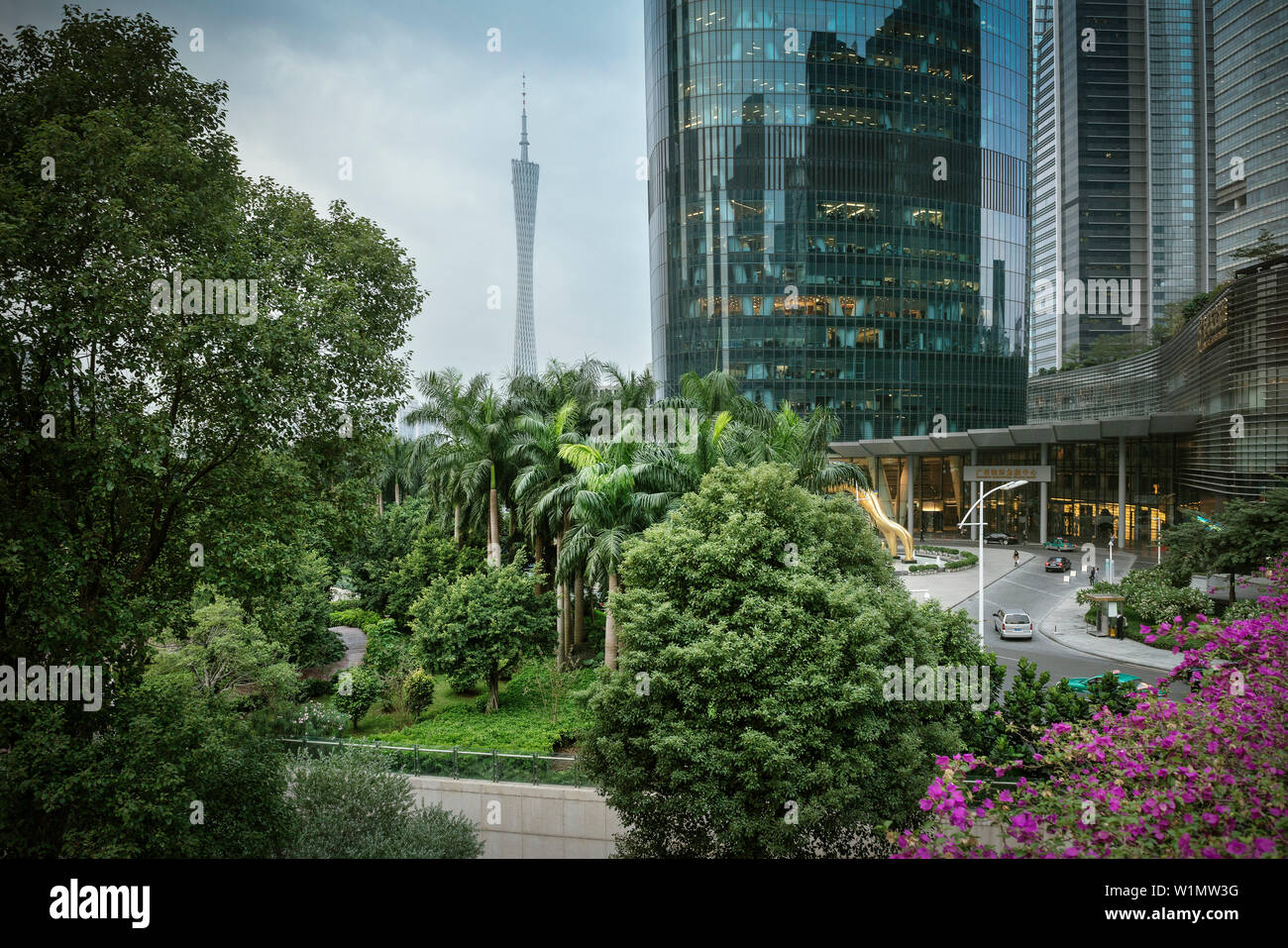 Guangzhou iconic Fernsehturm mit üppigen Gärten und die IFC (International Finance Center) Tower, Provinz Guangdong, Pearl River Delta, China Stockfoto