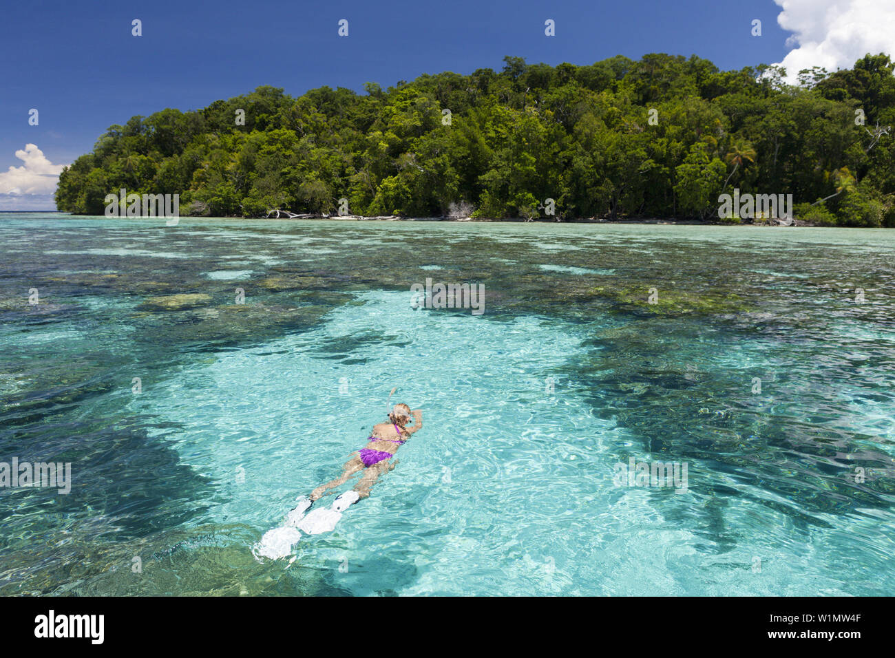 Schnorcheln auf den Solomon Inseln, Marovo Lagune, Salomonen Stockfoto