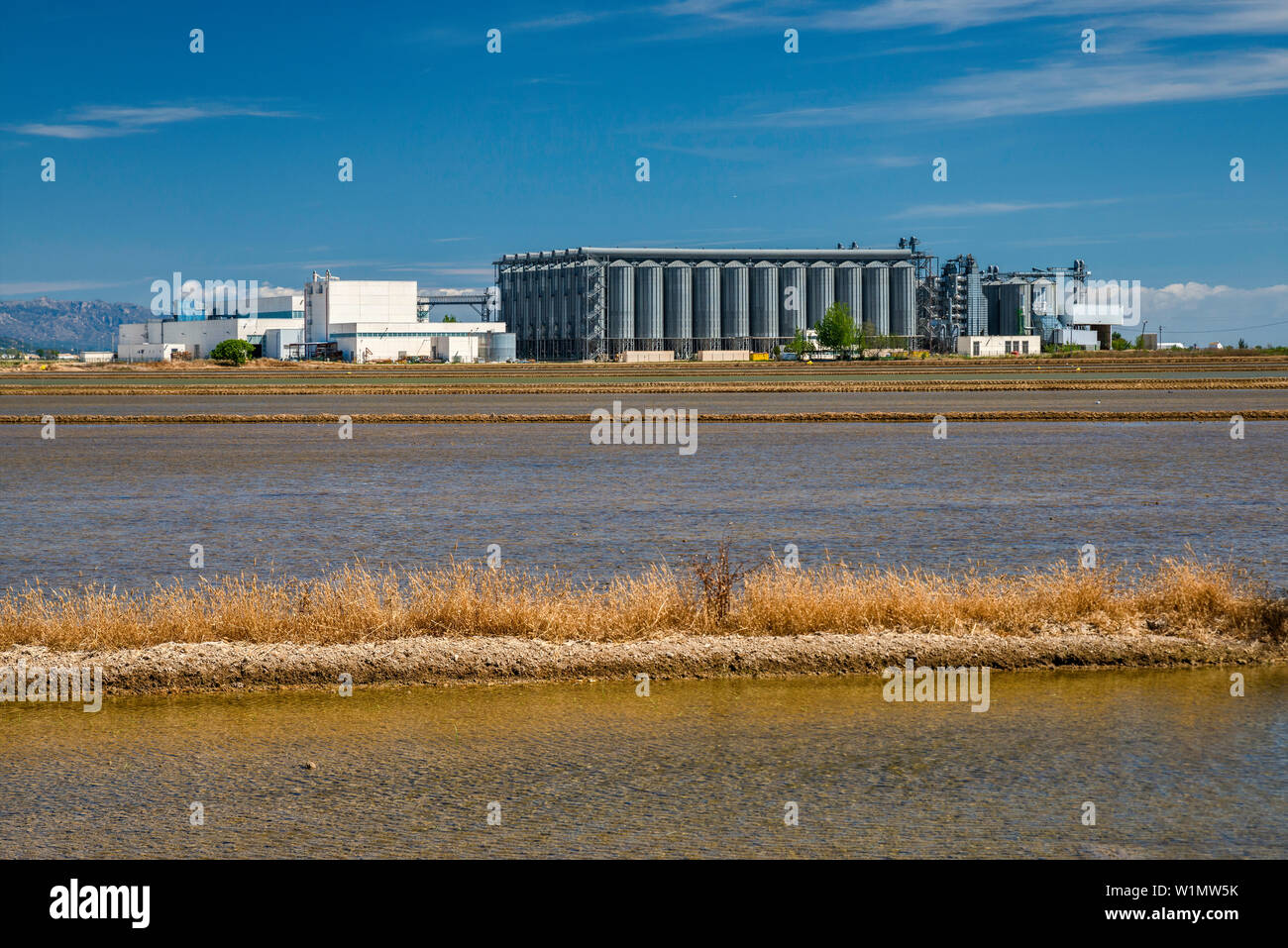 Körnerelevator, Paddy Feld für den Anbau von Reis im Delta des Rio Ebro, in der Nähe von Sitges, Katalonien, Spanien Stockfoto