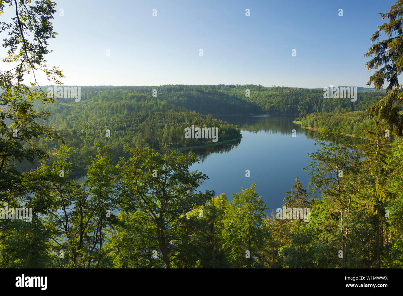 Saale Barriere See, Naturpark Thüringer Schiefergebirge/Obere Saale, Thüringen, Deutschland Stockfoto