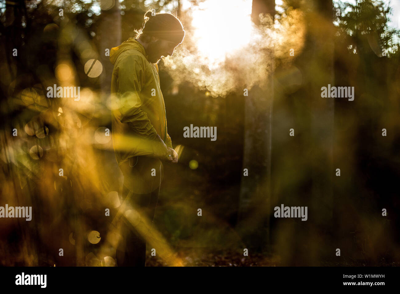 Junge männliche Läufer in eine kurze Pause in einem Wald, Allgäu, Bayern, Deutschland Stockfoto