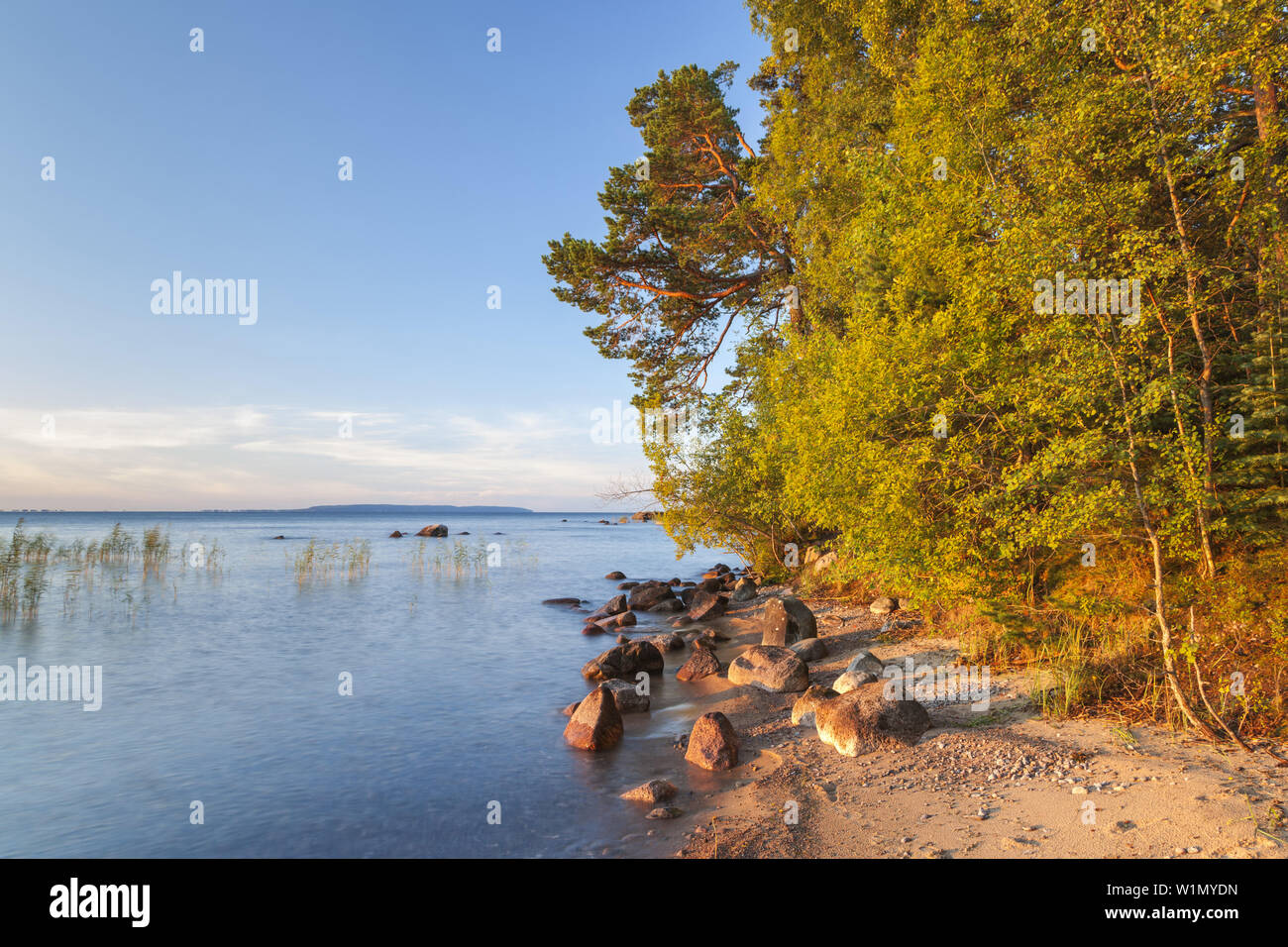 Ufer des Sees Vättern in der Nähe von karlsborg am Morgen, February, Götaland, Süd Schweden, Schweden, Skandinavien, Nordeuropa, Europa Stockfoto
