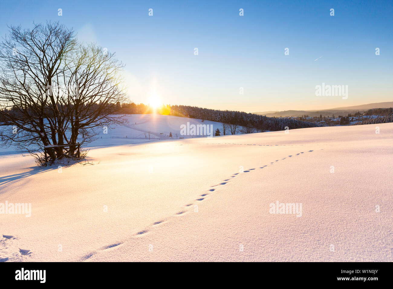 Winterlandschaft bei Sonnenuntergang, Spuren im Schnee, Neuschnee, Berge, Wald, Harz, Sankt Andreasberg, Niedersachsen, Deutschland Stockfoto